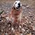 Thunder Snow Tara Pesnell's profile image