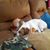 Dara Kehoe's profile image