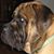 Tom Kobak's profile image