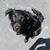 Jeannette Zinn's profile image