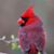 Amanda Boege's profile image