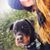 Amy Beth's profile image