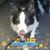 Roseanne Coggan's profile image