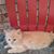 Libby Hodge's profile image