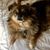 Linda Counts Strickland's profile image