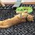 Barbara Rutledge Maxham's profile image