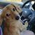 Krystal Sue McGarry's profile image