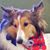 Bailey Gaudreau's profile image