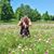 Elena Rudiger's profile image