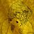 Molli Dowdy's profile image