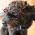 Kim Knepper's profile image
