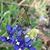Carol Virdell Hagemeier's profile image