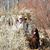 Brenda Reed Bunch's profile image
