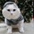 Suzie C Smith's profile image
