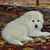 Sherry Purcell-Nawrocki's profile image