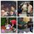 Cheryl Manduca's profile image