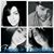Cindy Whitnum's profile image