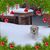 Michelle Martin Walper's profile image