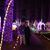 Mary Lynn Madere Jacob's profile image