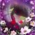 Cindy Pickenpaugh Lane's profile image