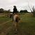 Shauna Brie'anne Mar's profile image