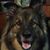 Doug Lundy's profile image