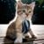 Katie Moore Wilcox's profile image