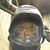 Robert Edward Garretson's profile image