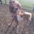 Sandra Nelson's profile image