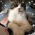 Bridget Gaughan's profile image