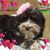 Linda Grooms's profile image