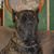 Lenora N David Gamble's profile image
