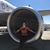 Haley Winsett's profile image