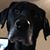 Renée Bondybey Sundberg's profile image