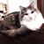 Becky Holzbacher King's profile image