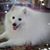 Nancy Suklis's profile image