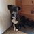 Jennifer Deschaine's profile image