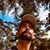 John Lindsay Hiebert's profile image