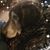 Kathy Bernheimer's profile image