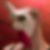 Randall Plankenhorn's profile image