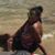 Aruna Pietrack's profile image