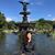 Shireen Qazi Ahmad's profile image