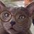 Penny Egly's profile image