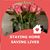 Rosa Gallardo's profile image