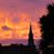 Lisa Riboldazzi Crawford's profile image