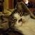 Mary Ellen Osmun Moses's profile image