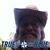 Terry Koller's profile image