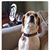 Greg Kenney's profile image