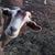 Nancy Ogg's profile image