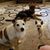 Brenda Adams's profile image